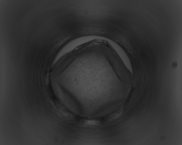 X0000091900360200710031207