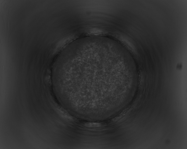 X0000091900361200710031207