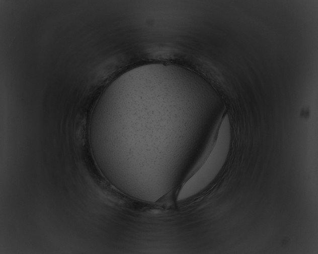 X0000091900364200710031207