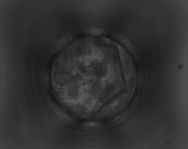 X0000091900365200710031207