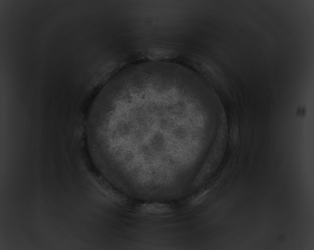 X0000091900367200710031207