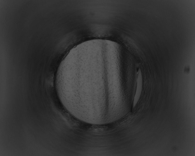 X0000091900368200710031207