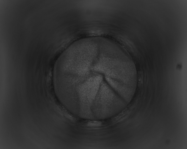 X0000091900369200710031207