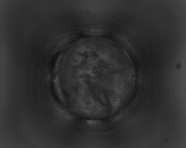 X0000091900371200710031207