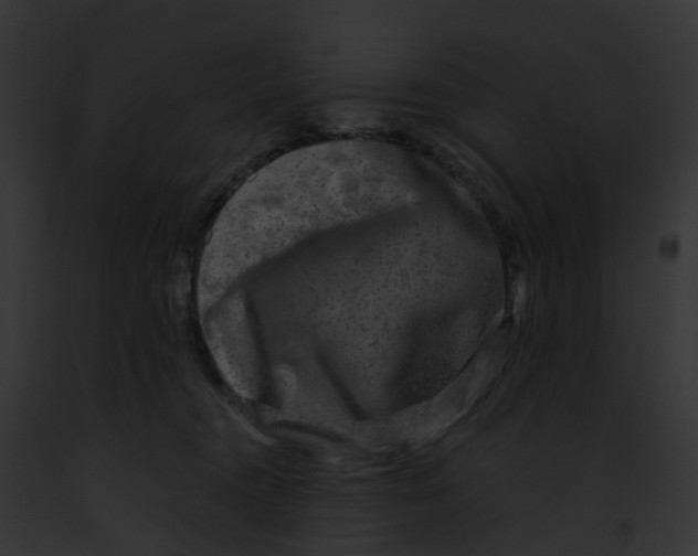 X0000091900372200710031207