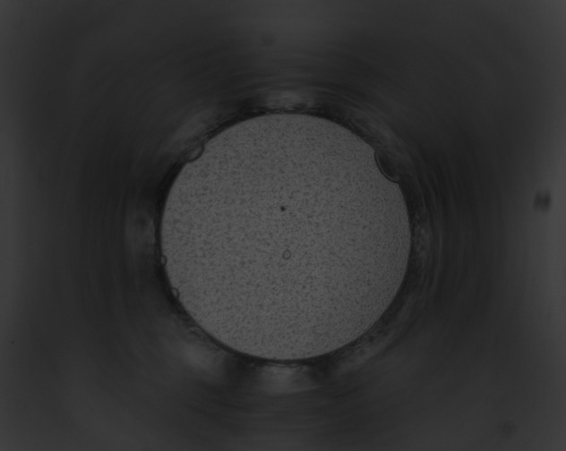 X0000091900375200710031207