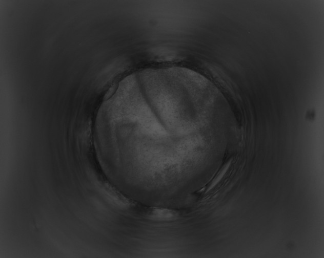 X0000091900376200710031207