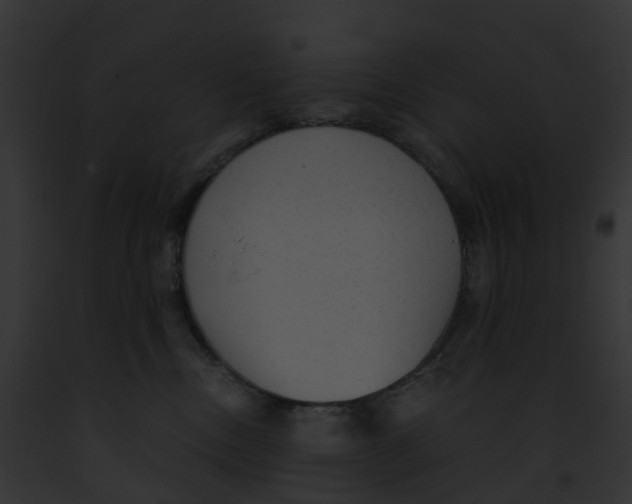 X0000091900378200710031207