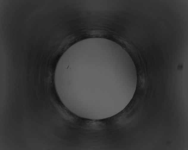 X0000091900379200710031207