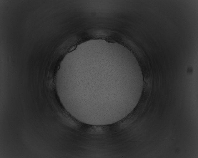 X0000091900381200710031207