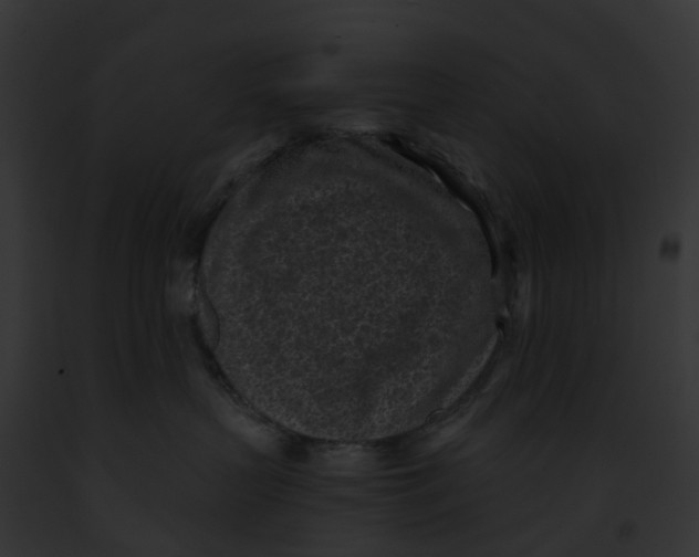 X0000091900383200710031207