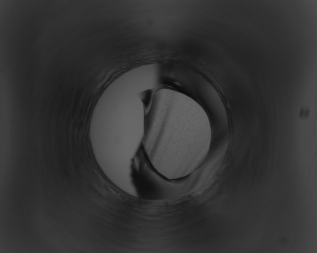 X0000091900384200710031207