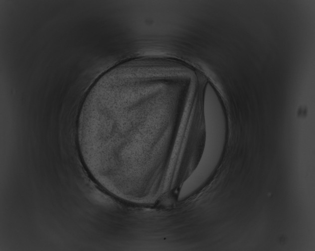 X0000091900385200710031206