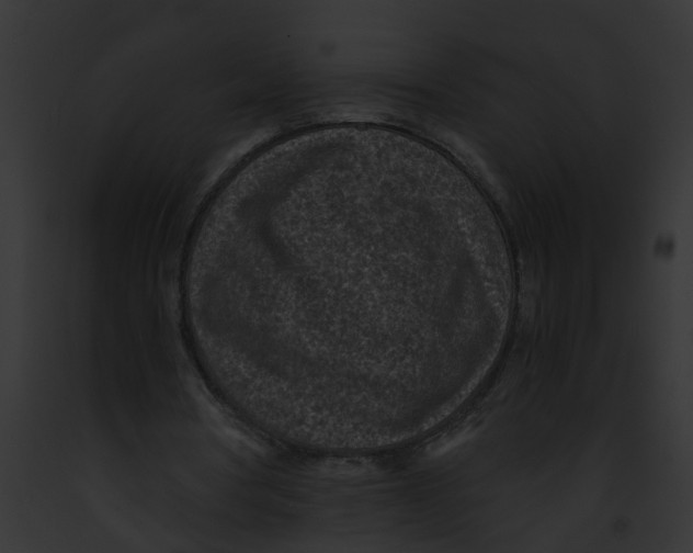 X0000091900386200710031206