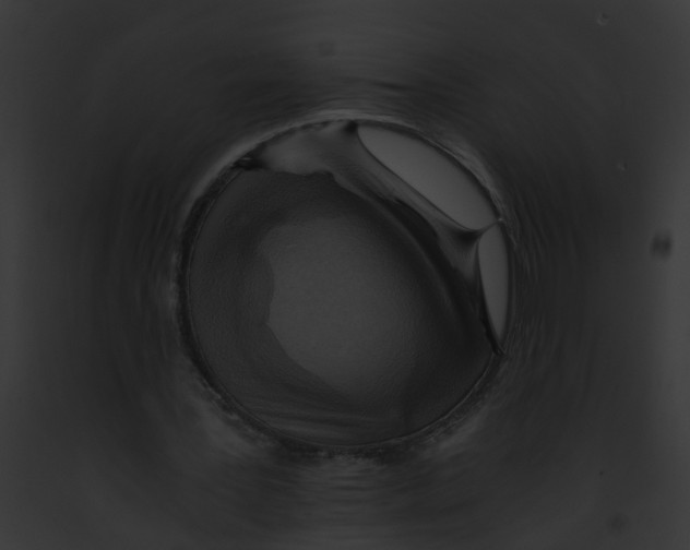 X0000091900387200710031206