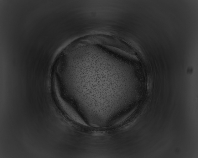 X0000091900388200710031206