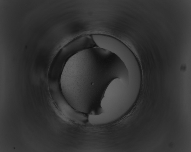 X0000091900389200710031206