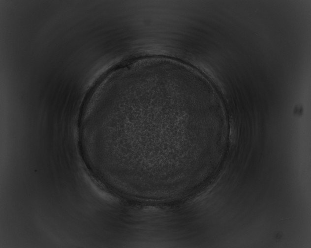 X0000091900390200710031206