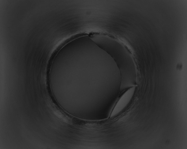 X0000091900391200710031206