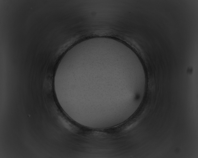 X0000091900393200710031206