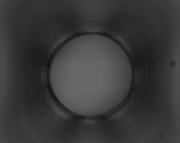 X0000091900394200710031206