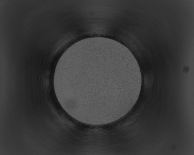 X0000091900396200710031206