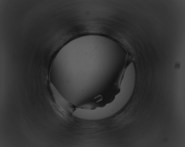 X0000091900397200710031206