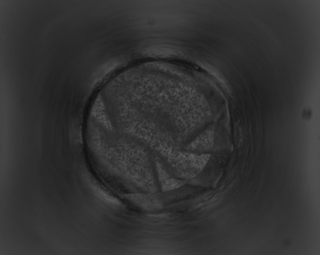 X0000091900399200710031206