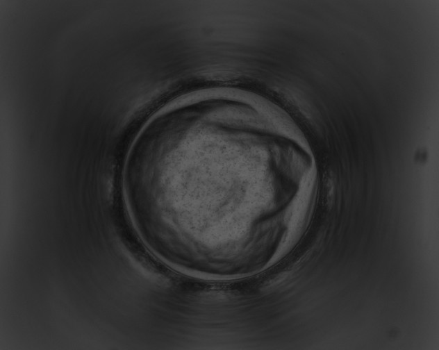 X0000091900404200710031206