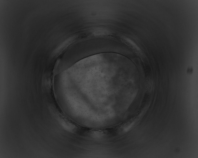 X0000091900405200710031206