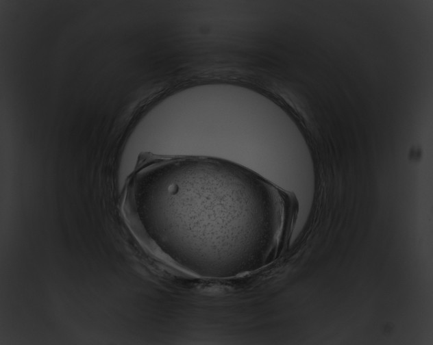 X0000091900407200710031206