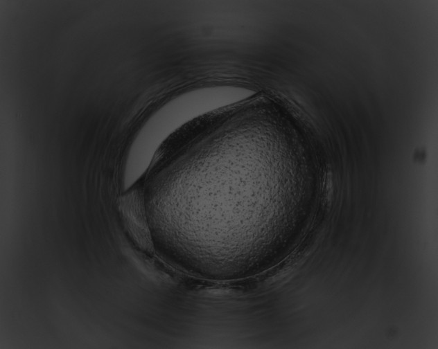 X0000091900408200710031206