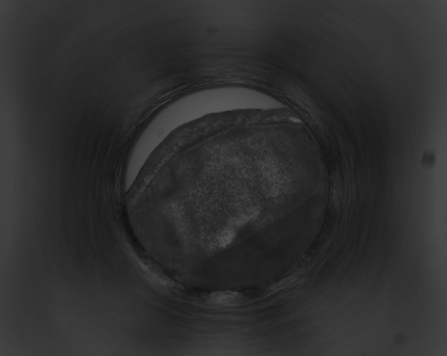 X0000091900410200710031206