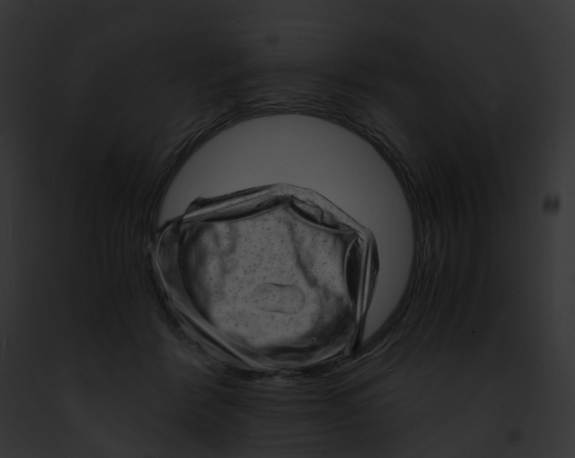 X0000091900412200710031206