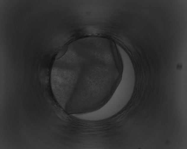 X0000091900413200710031206