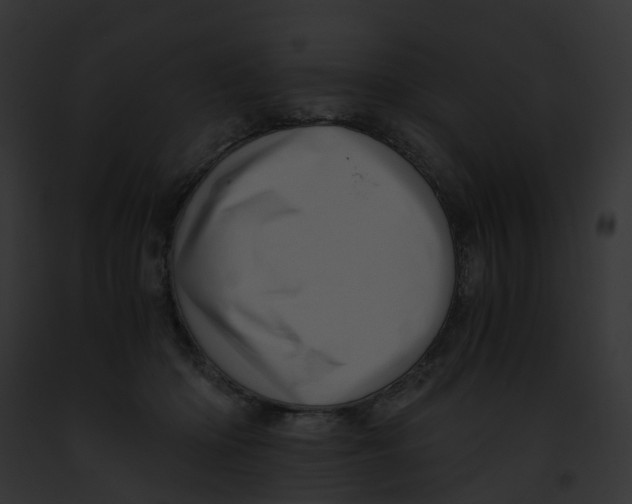 X0000091900414200710031206