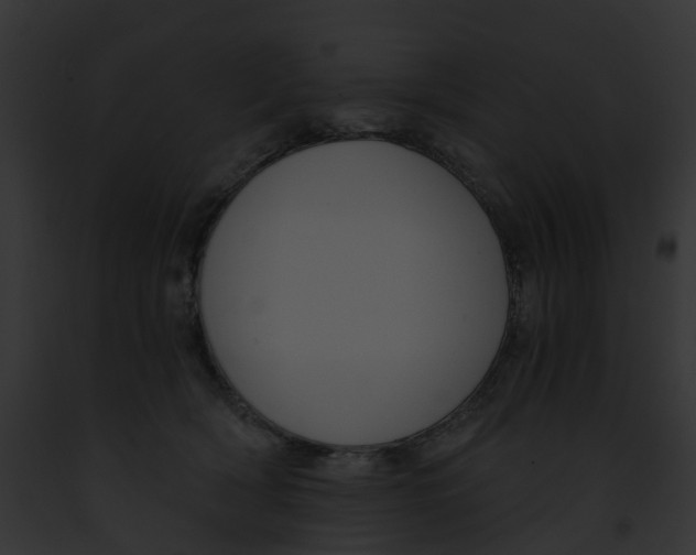 X0000091900418200710031206