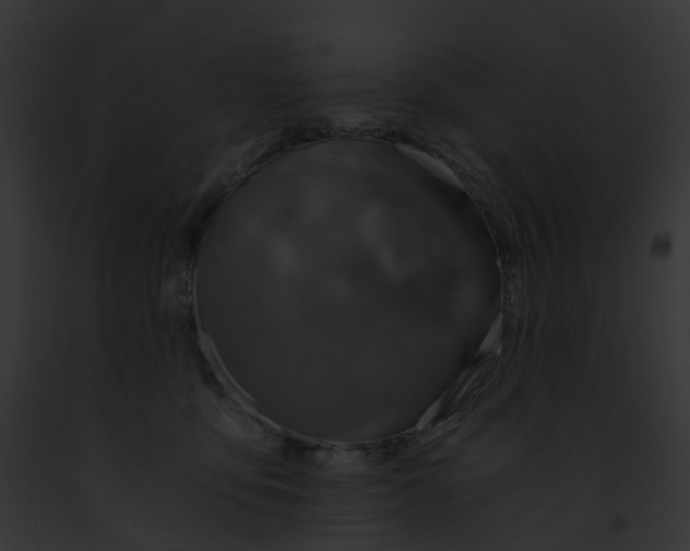 X0000091900419200710031206