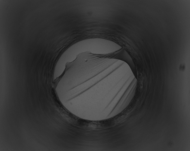 X0000091900420200710031206