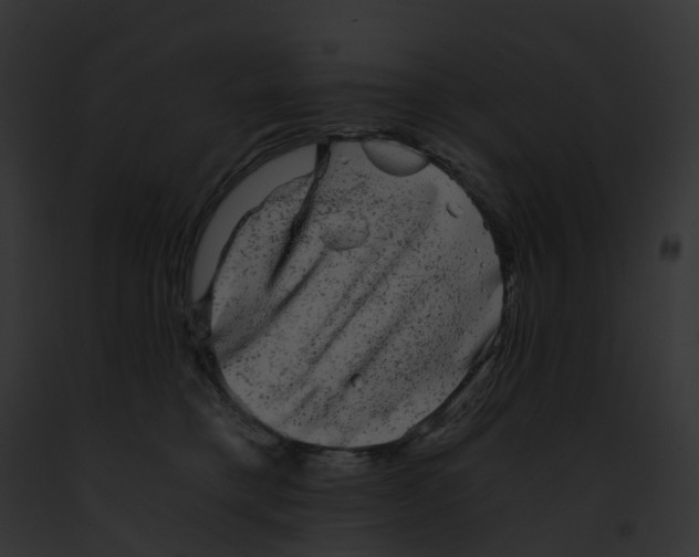 X0000091900421200710031206