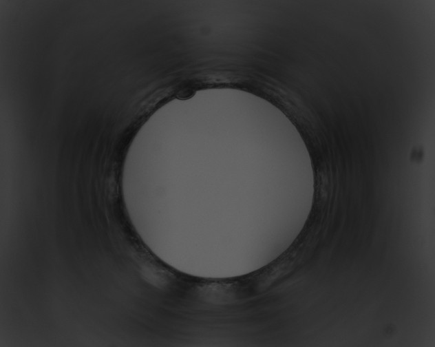 X0000091900422200710031206