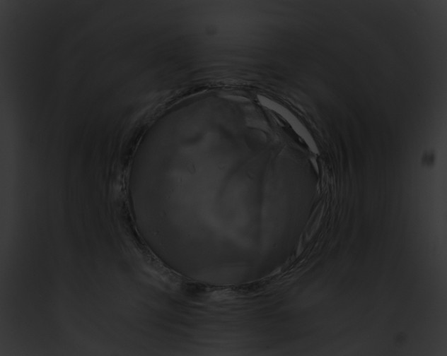 X0000091900423200710031206