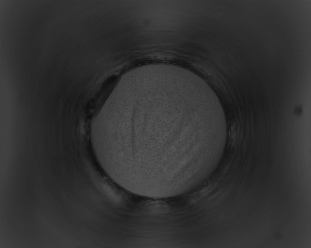 X0000091900424200710031206