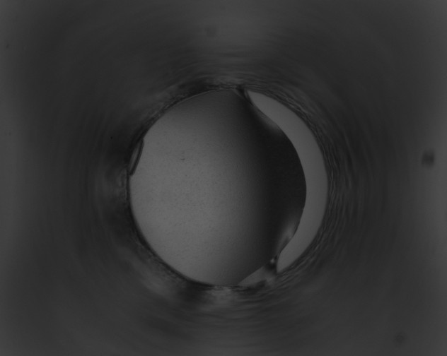 X0000091900425200710031206