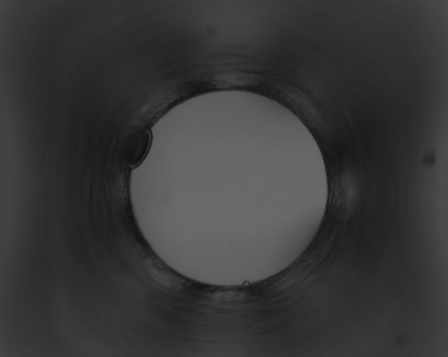 X0000091900426200710031206