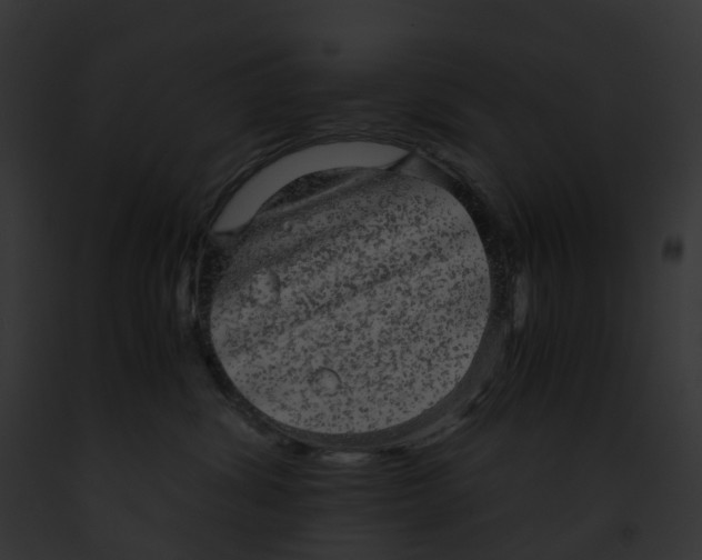 X0000091900428200710031206