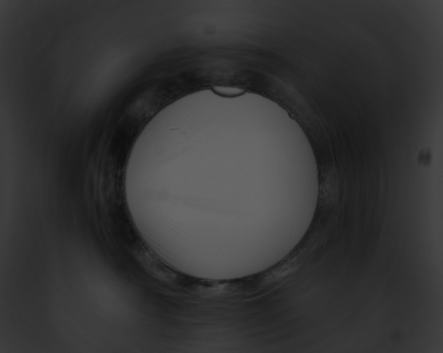 X0000091900430200710031206