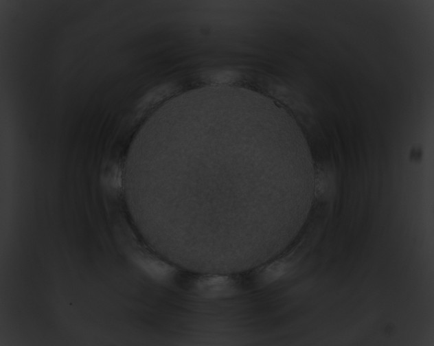 X0000091900431200710031206