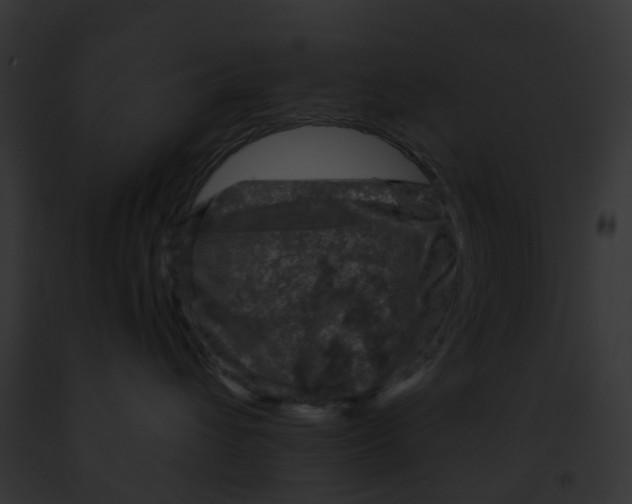 X0000091900432200710031206