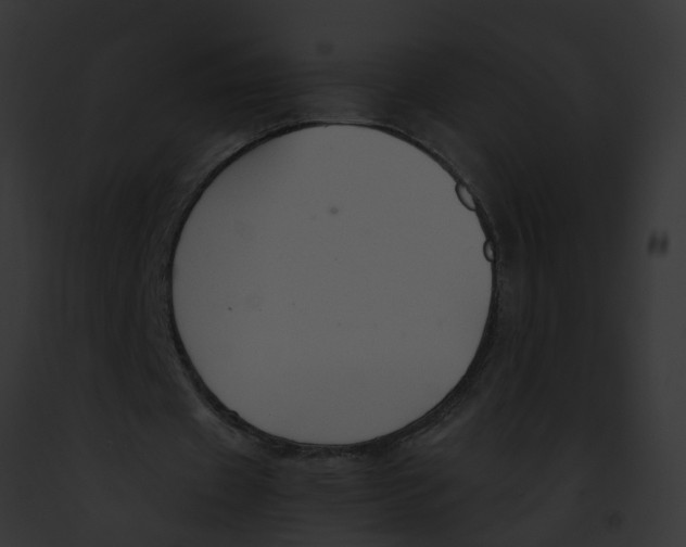 X0000091900433200710031205